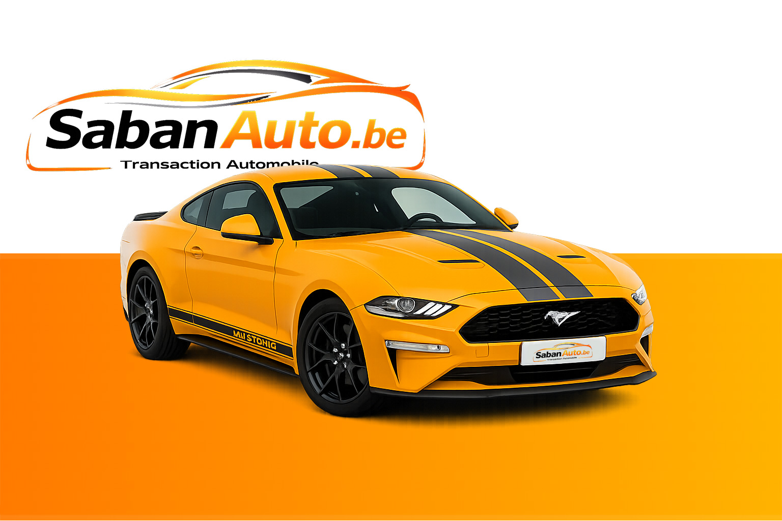 Sabanauto Showroom
